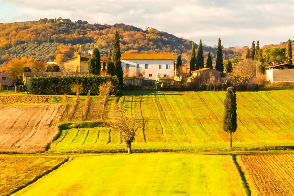 意大利路途,农村的状况