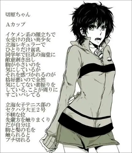 网王立海大切原赤也