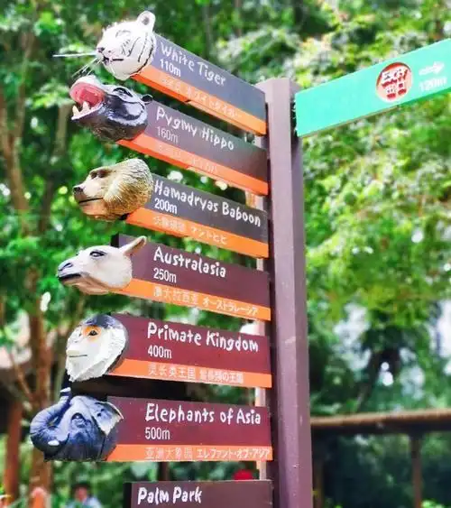 动物园的指示牌太可爱了!