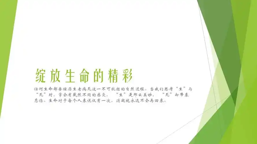 24绽放生命的精彩ppt