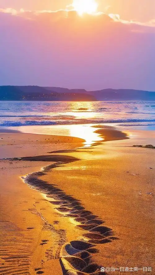 夏日海滩壁纸98清凉一夏