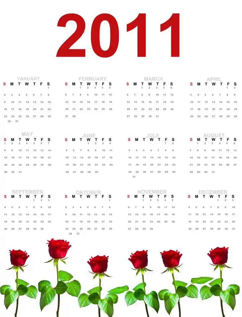 2011 年日历.一年