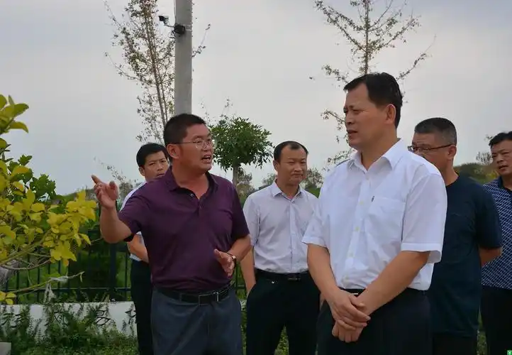 薛峰调研全县殡葬改革工作-欢迎您来到沂水县人民政府