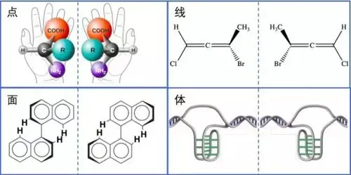 什么是手性分子它们在现代化学中有什么用途或风险
