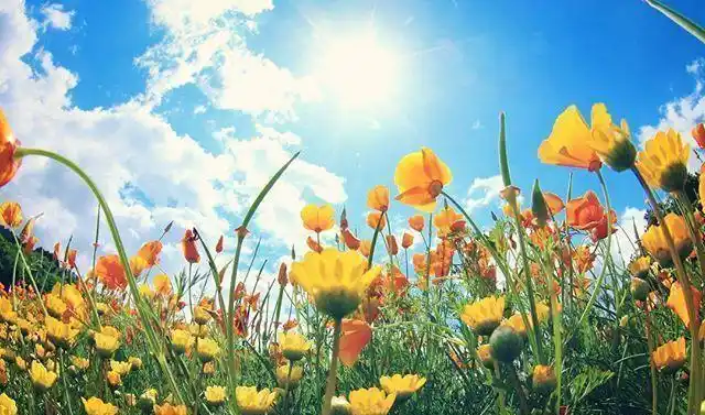 阳光心态励志语录句句正能量让人斗志昂扬