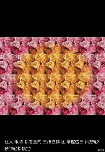 【图】你看过三维立体图?会看请给出答案?_北京论坛_汽车之家论坛