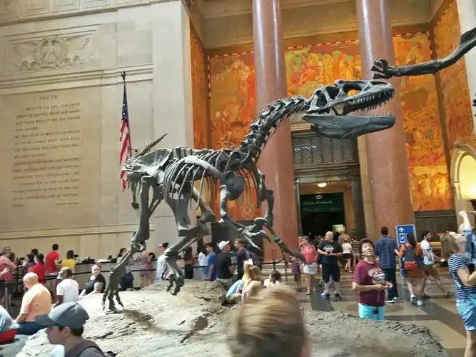 美国纽约自然博物馆游记