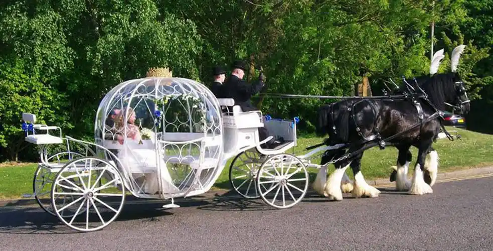 traditional wedding horse drawn02carriage for your special day