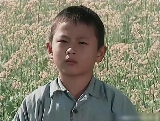 演员|杨峻荣|郑丰喜_网易订阅