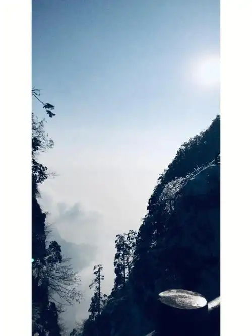 试着放空自己舒缓一下疲惫的心灵