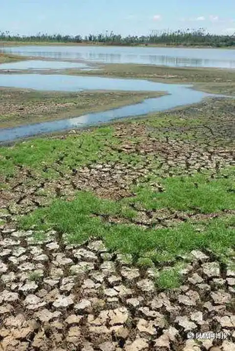 湛江雷州半岛出现罕见的旱情