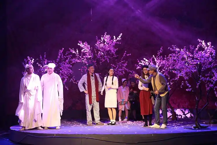 毕业剧目暗恋桃花源