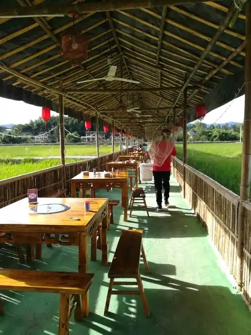 新型稻田农家乐,带给我们不一样的体验和希望