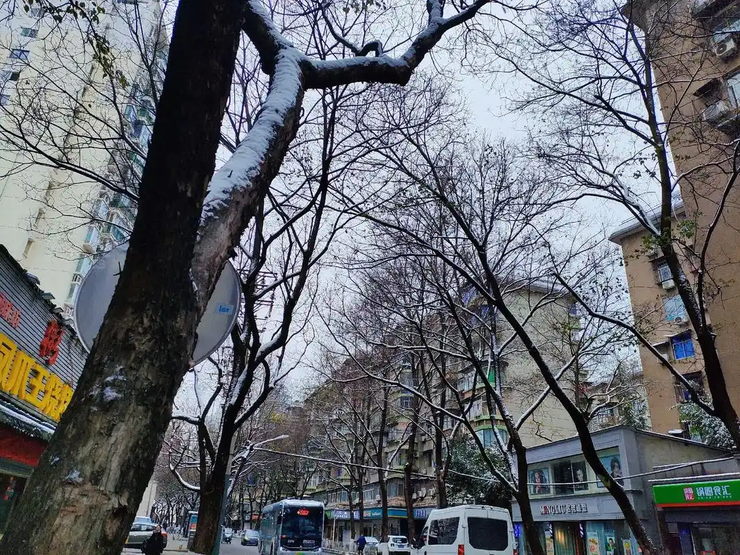 手机摄影 #随拍 #记录真实生活 #城市记忆 #分享照片  - 抖音