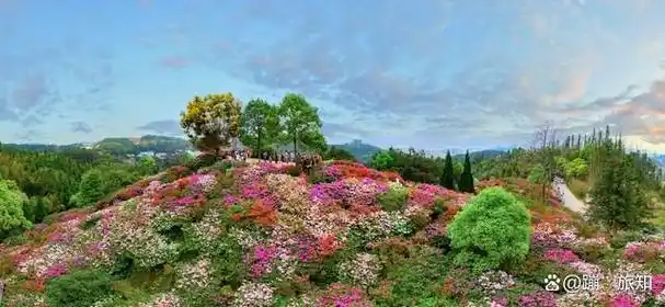 中国第一座正规植物园——庐山植物园
