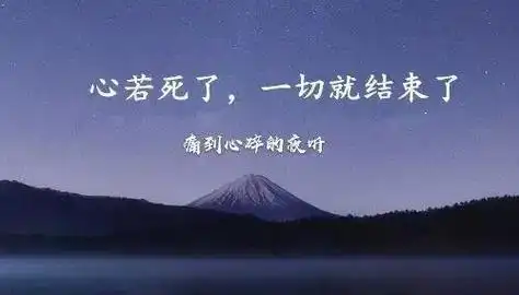 对老公心寒绝望的句子-吧主网