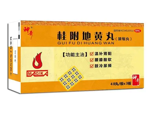 神奇r 桂附地黄丸(浓缩丸)(板装)