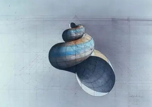 斐波那契数列是完美的秘密,委内瑞拉艺术家rafael araujo没有使用科技