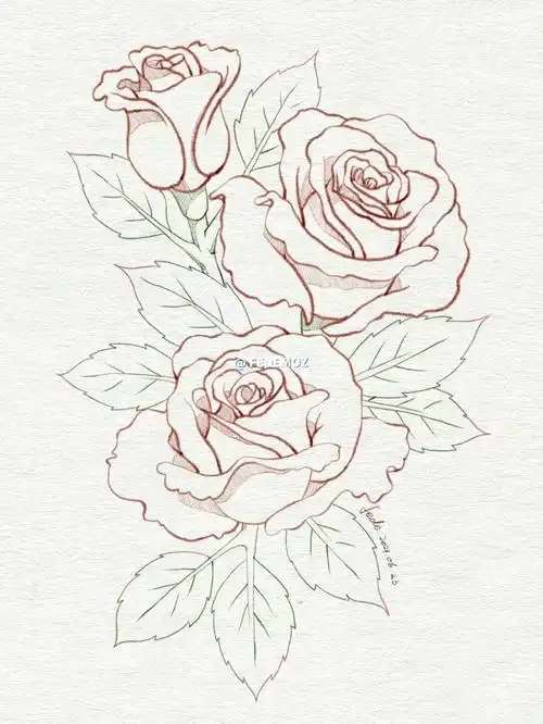 水彩花卉玫瑰花儿上色77线稿