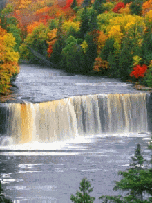 220_293gif 动态图 动图