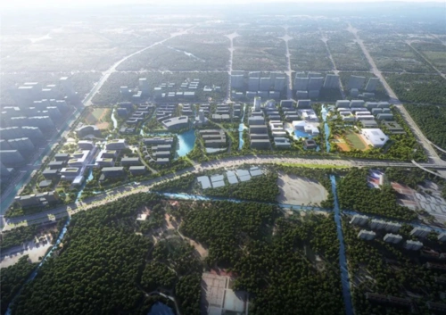 据南通市行政审批局2020年8月发布的规划公示显示,南通大学钟秀校区