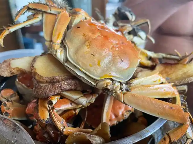 秋天的螃蟹太肥美了,煮熟了,澄亮亮的壳就似秋天一样.