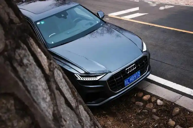 不负旗舰之名 奥迪q8 55 tsfi试驾丨把玩