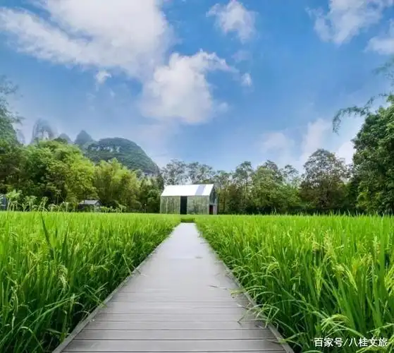 通往镜屋的田园木栈道