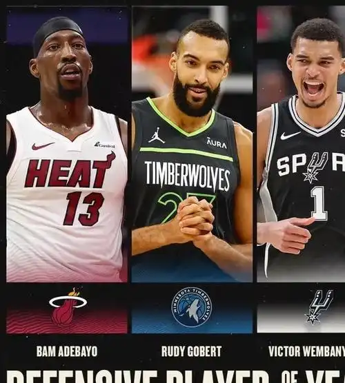 雷霆队|公牛队|马刺队|斯蒂芬·库里|尼古拉·约基奇|明尼苏达森林