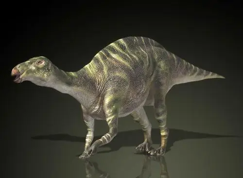 恐龙图片,恐龙图库