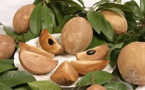 这是海南产的什么水果?