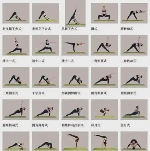 瑜伽体位图224式大全,值得永久收藏,拿去不谢!