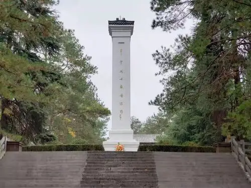 在大别山烈士陵园纪念碑前,镇两位青年干部向革命先烈敬献花篮,镇党政