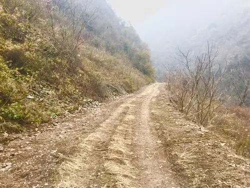 莫愁山路十八弯,康庄大道修门前——老庄子村美丽乡村建设纪实(二)