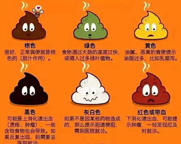关注大便的变化,比如颜色,性状,次数等有无改变,对自己的健康状况有所