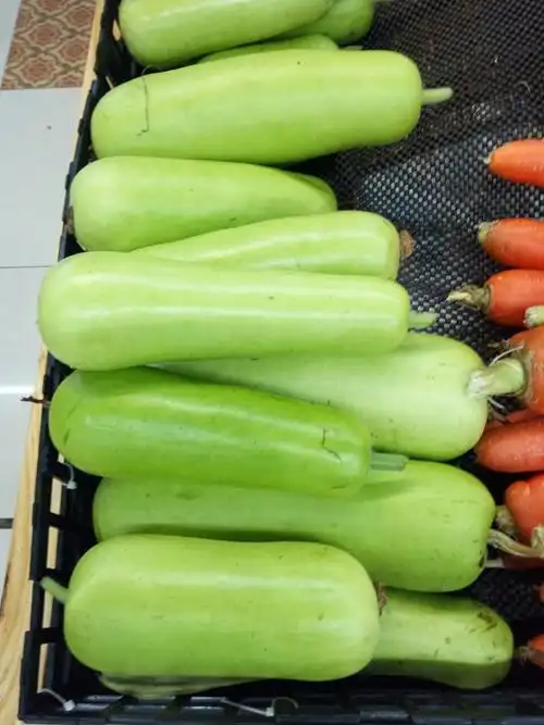 本地水瓜(胡瓜)