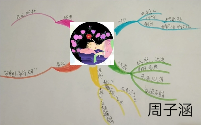 坚持很酷——舒兰市新安乡安阳小学五年级课外阅读之《红楼梦》思维导