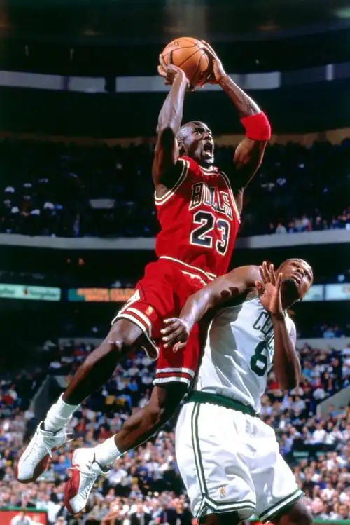 体育篮球##体育明星