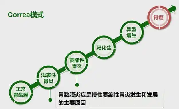 【广州建康医院】萎缩性胃炎的分级和癌变风险 | 科普时间