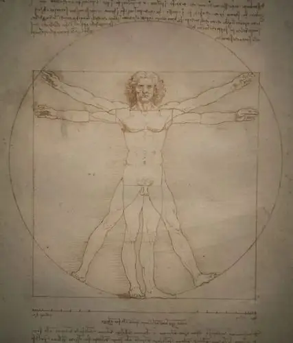 达芬奇先生,你已经去天堂500年了