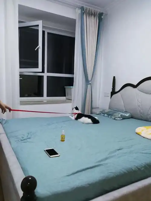 70m05简约二居装修设计卧室实景图