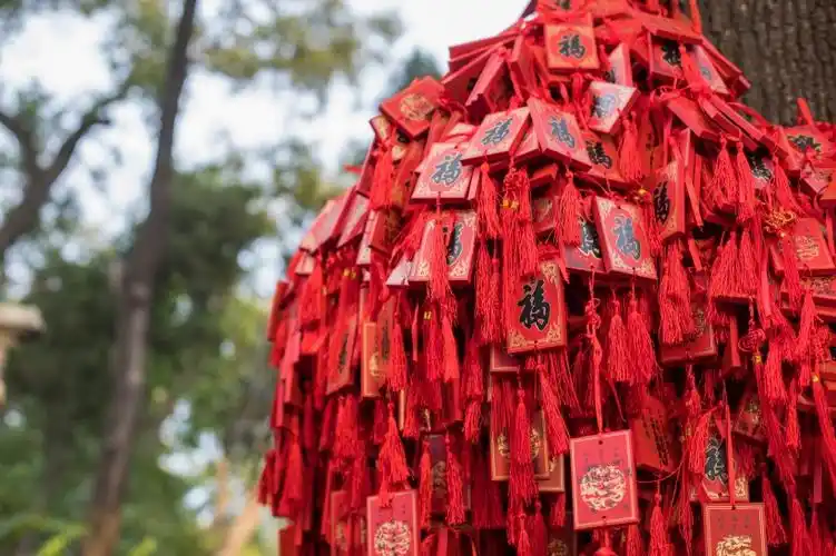 新春祈福图片 - 第4张