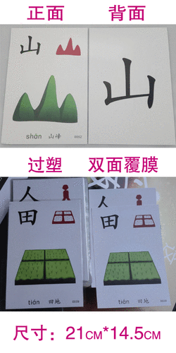 有声挂图-认字教材识字卡片宝宝看图识字全套象形有图0-3-6岁教学大卡