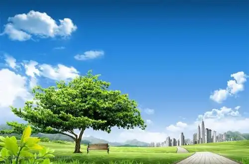 蓝天白云草地上的小树树木城市都市