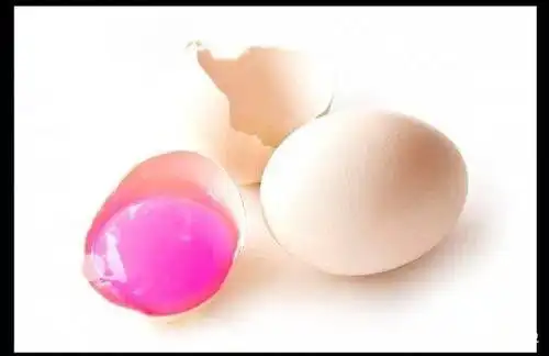 5.火烈鸟鸡蛋的蛋黄是粉红色的