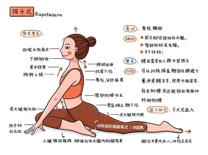 插画师の瑜伽体式笔记00p43简易鸽子式