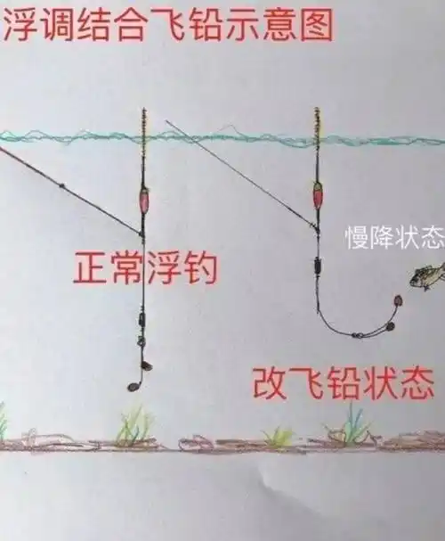 浅谈解析飞铅钓法,春季垂钓助你一臂之力_鲫鱼_饵料_鱼儿