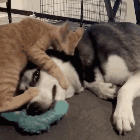 hina & kotaro   ins@kotaro20130405 不像前面那两对腻歪到没眼看