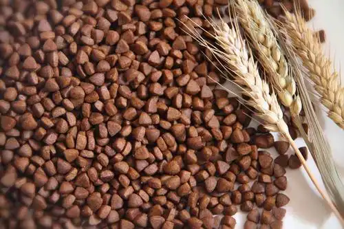 猫粮 天然粮 自制 全阶段