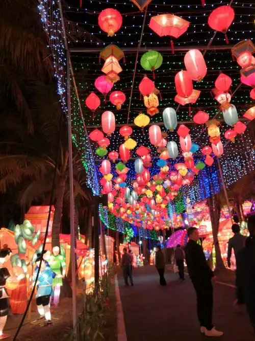 2020年1月6日与陆慧珍,于登海在深圳欢乐海岸看花灯